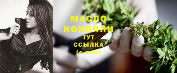 ECSTASY Пересвет
