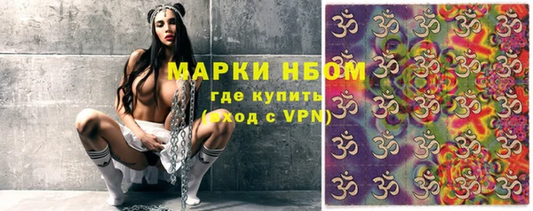 ECSTASY Пересвет