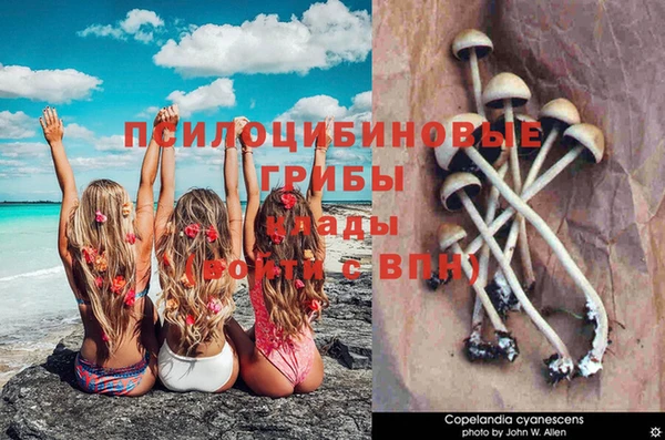 ECSTASY Пересвет