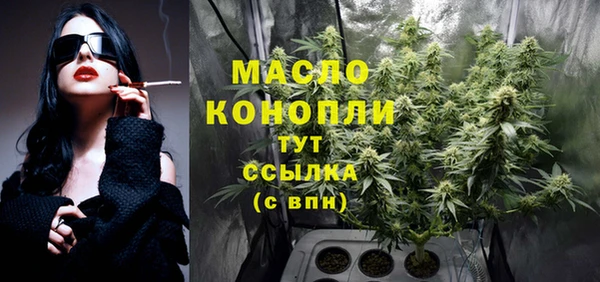 ECSTASY Пересвет