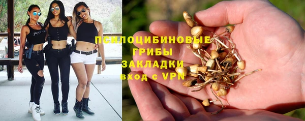 МДПВ Пестово